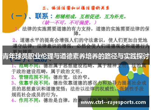 青年球员职业伦理与道德素养培养的路径与实践探讨